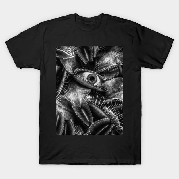 Caught In A (Fly) Trap. T-Shirt by OriginalDarkPoetry